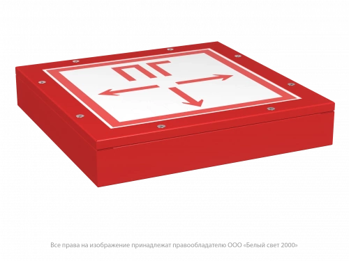 Световой указатель BS-COMPASS-53-S1-INEXI3