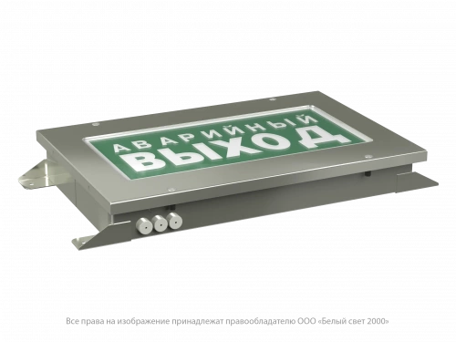 Световой указатель BS-CRUISER-53-S1-INEXI3