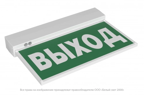 Световой указатель BS-KURS-71-S1-INEXI3-MSS3