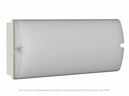 Аварийный светильник BS-METEORIT-543-20x0,3 LED