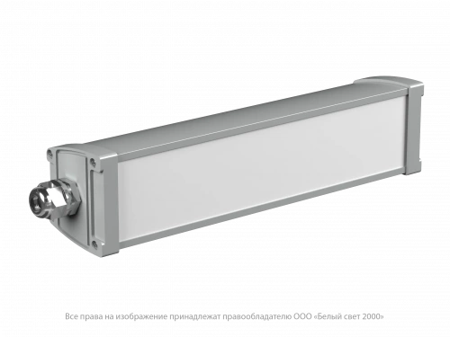 Аварийный светильник BS-AMON-10-L1-LED V02 5000K