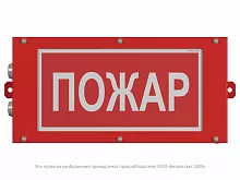 Световой указатель BS-CANRON-10-S1-ELON