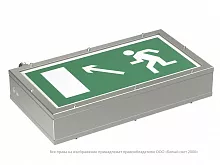 Световой указатель BS-FLAGMAN-10-S1-24 NST