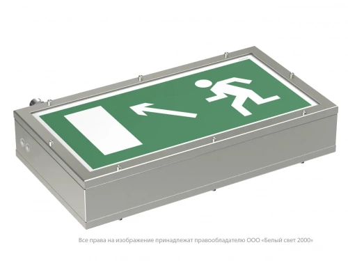 Световой указатель BS-FLAGMAN-10-S1-24 NST