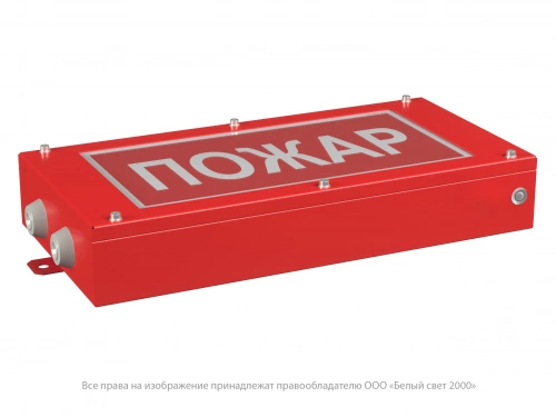 Световой указатель BS-CANRON-71-S1-INEXI3
